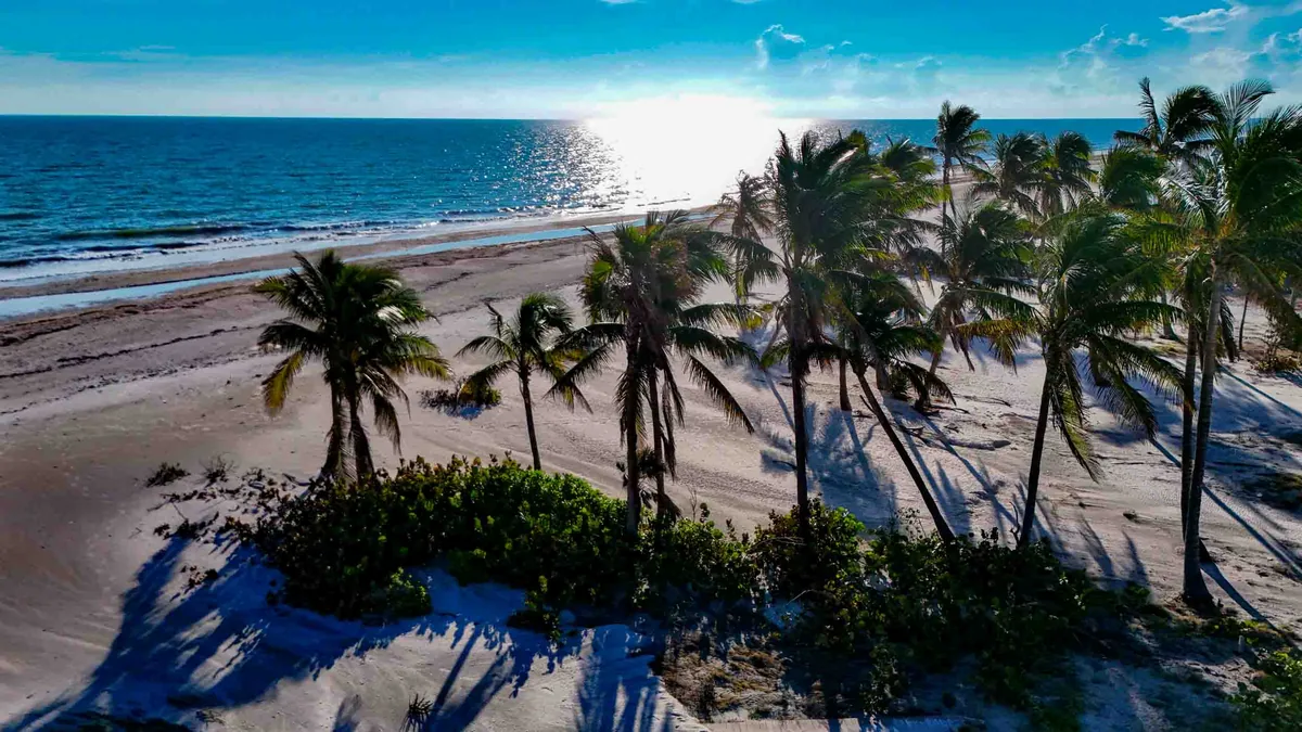 Palmen und Golfstrand am Tarpon Bay Road Beach auf Sanibel